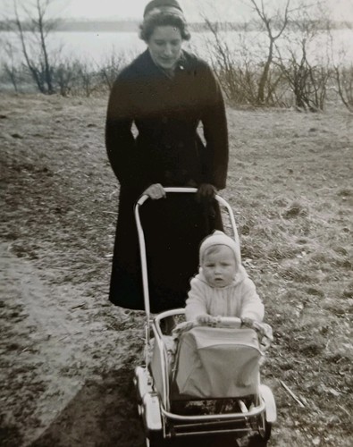 Preetz holstein 1959 elegante - holstein,