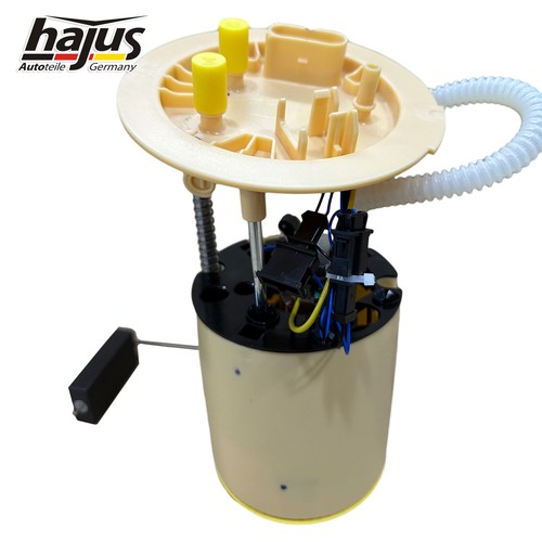 Hajus