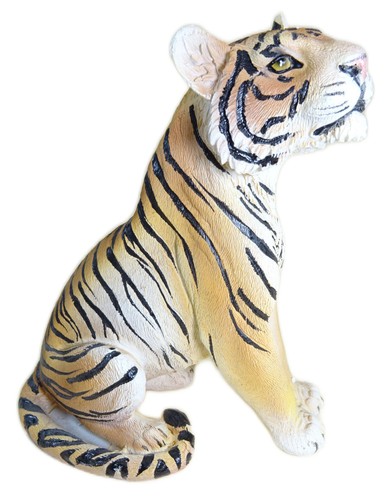 Sitzender brauner tiger x - sitzender, 16