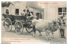 AYUP9-0781-65 - Zuggeschirr