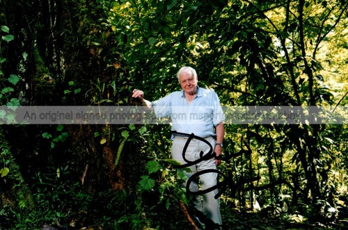 Sir david attenborough - david,