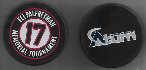 Eishockey puck eli - eli, palfreyman