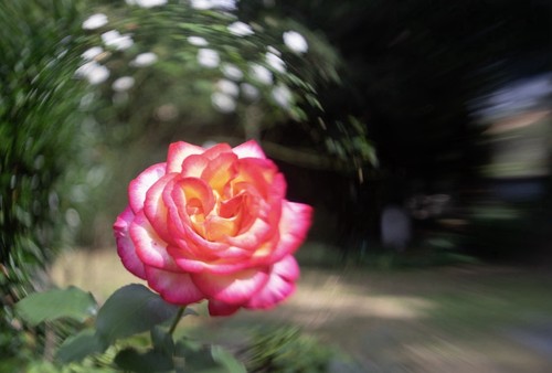 Pentacon auto 29 - pentacon, 2.8/29