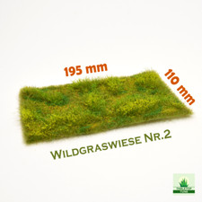 602 / Wildgraswiese Nr.2 /