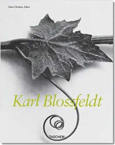 Blossfeldt