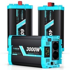 3000w 4000w 6000w reiner sinus - 3000w,