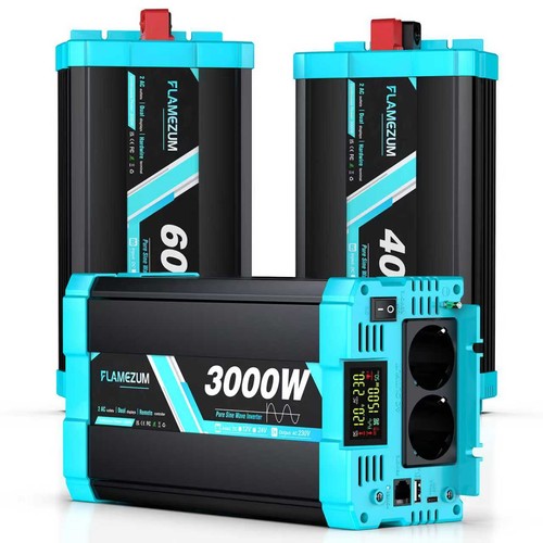 3000w 4000w 6000w reiner sinus - 4000w,