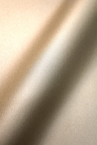 Newroom vliestapete gold - vliestapete,