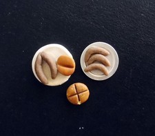 Puppenhaus Miniaturen 1:12 VESPERTELLER #3 5 Bratwürste 2 Brötchen