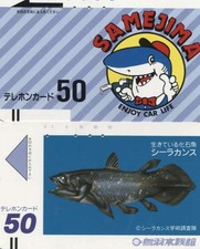 2 Japan Balkenkarten TK -  F i s c h e - (22)