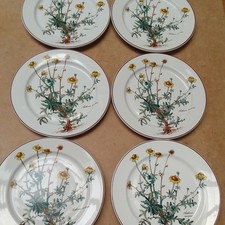 Villeroy Boch Botanica Speiseteller 24 cm gebraucht