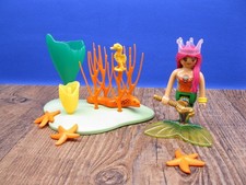 Meerjungfrau Muräne Seesterne