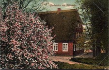 AK Vierlanden zur Blütezeit gelaufen Bergedorf 1913 Hamburg (2969A55)