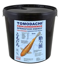 Frühjahrsfutter Koi