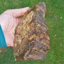 Stromatolith rohstein - 1,6, kg