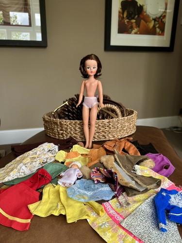 Pedigree sindy trendy - sindy,