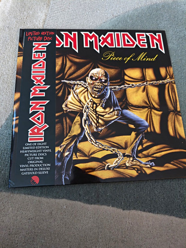 Iron maiden piece - iron,