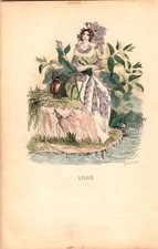 Kol. Lithographie Grafik 19 Jh. Les Fleurs animee Mode Damen Pflanzen Karikatur