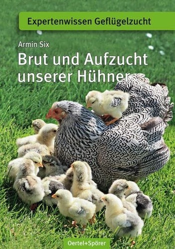 Brut und aufzucht unserer - aufzucht,
