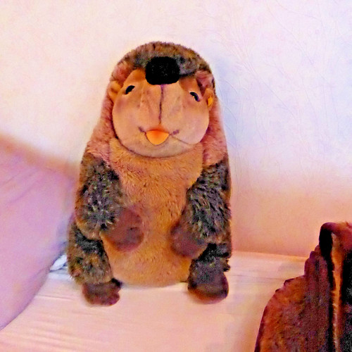 Steiff igel joggi - igel,