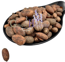 Rohe Criollo Kakaobohnen Ganze 20g - 4.9kg Theobroma - Kakao COCOA