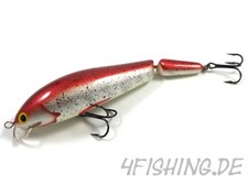 Der TAIMEN Flachläufer - 16