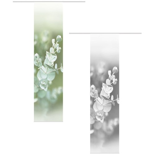 Vision eucalia - vision,