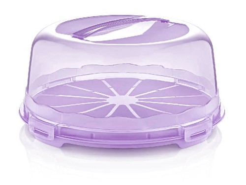 Kuchentransportbox - , +