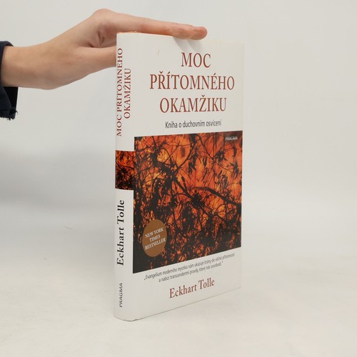 Moc přítomného okamžiku