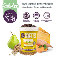 Tenetrio - Hundesofties Birne