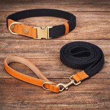 Set aus Halsband und Leine