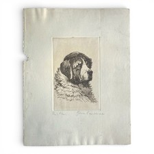 Radierung bernhardiner hund - radierung,