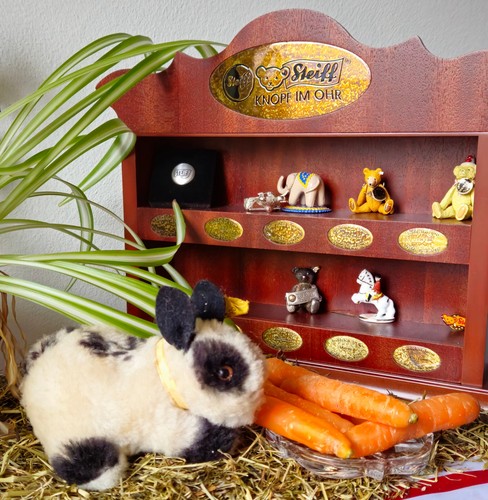 Steiff timmy hase 6610 - steiff,