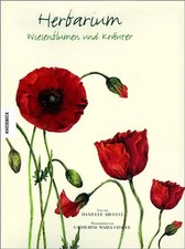 Herbarium. Wiesenblumen und