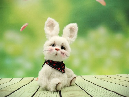 Hase teddybär kaninchen teddy - hase,