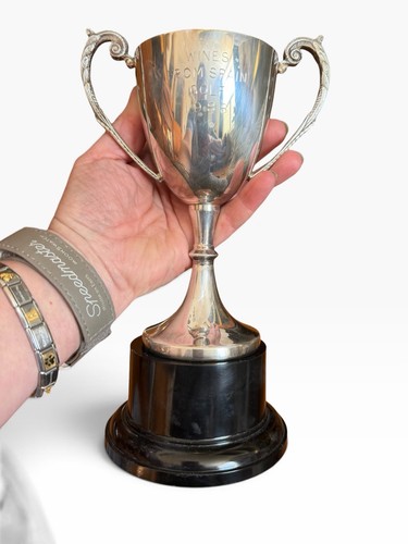 Vintage golf pokal - golf,