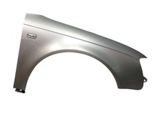 Kotflügel rechts Lichtsilber