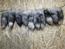Top 10x Echte Silberfuchs Fuchsschwänze Fuchsschwanz zum Sonderpreis!