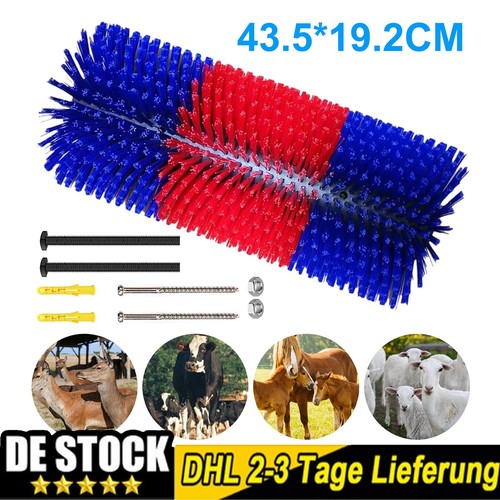 Viehbürste scheuerbürste - viehbürste,