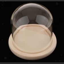 Groß Glasglocke Glaskuppel Glashaube mit Holzteller Innenministerium Dekor D