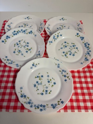 Vintage desserteller arcopal - desserteller,