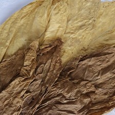 Tabakblätter Mix ''Virginia &