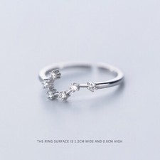 Ring 12 Sternzeichen Sterling
