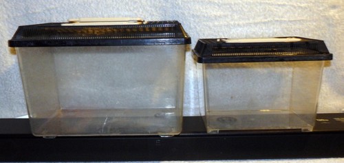 Reptilien terra box - terra-box,