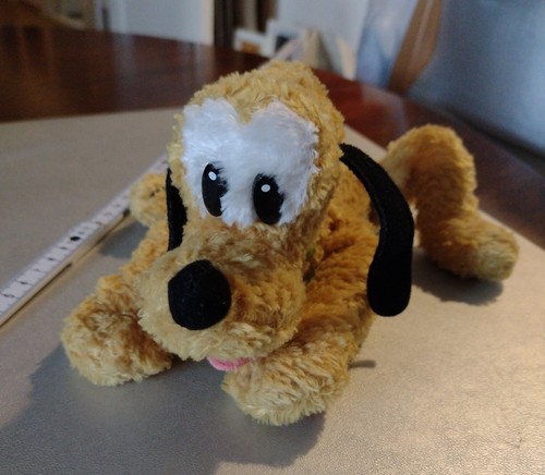 Hund pluto disneyland paris - pluto,