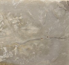 Vogel-Trittsiegel, Tertiär, Green River Fm., Wasatch County, Utah, USA-i458