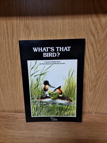 What that bird 1982 - what's, 1982,
