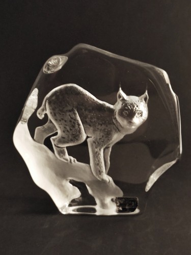 Mats jonasson luchs - 'luchs', für