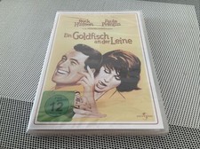 Ein Goldfisch an der Leine