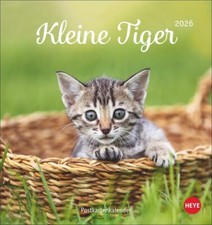 Heye Kleine Tiger Katzen